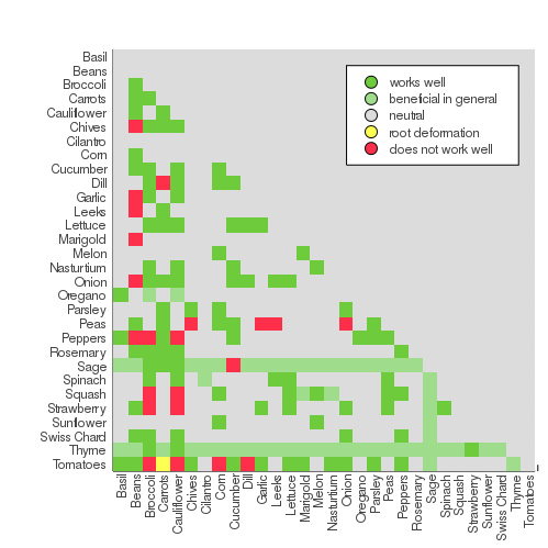 Companion plants